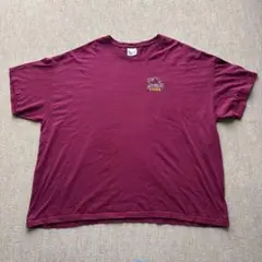 Hanes ヘビーウェイト Tシャツ 3XL バーガンディ