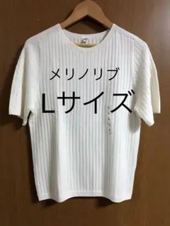 3Dメリノリブクルーネックセーター