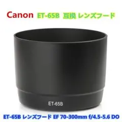 Item thumbnail for item 19abf750-43ba-44f3-b923-d0cf5a17a814
