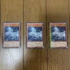 遊戯王　亜白龍　⑤
