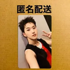 SEVENTEEN ホシ FC更新 トレカ