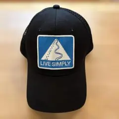 Item thumbnail for item c8052dcf-3db1-49c5-a4a0-1406dd5b5cf2