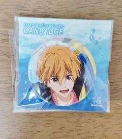 Free! 葉月渚 缶バッジ