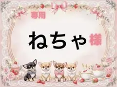 専用