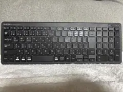 ★新品未使用ELECOM スリムパンタグラフキーボード TK-FBP101 BK