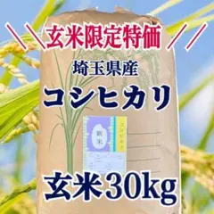 新米 玄米限定特価 令和4年 埼玉県産 コシヒカリ 玄米 30kg 送料無料