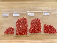 Item thumbnail for item 63b3fc01-f7dd-4bf0-8ca9-06498d6d2287