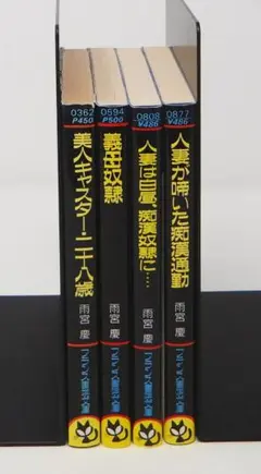 ♪雨宮慶☆4冊セット☆フランス書院☆官能小説♪