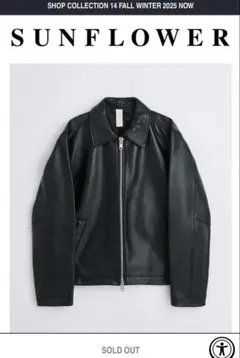 Item thumbnail for item a56a1d08-31c4-4df4-a405-a60ef3035266