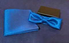 Item thumbnail for item 6fdbe5c4-6171-4367-8de6-a0aa7e95d83f