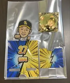岩井俊介 若鷹ガチャ レア 缶バッジ