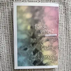 だから、そばにいて　カフカ
