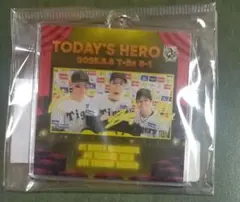阪神タイガース TODAY'S HERO キーホルダー　森下　佐藤　中野