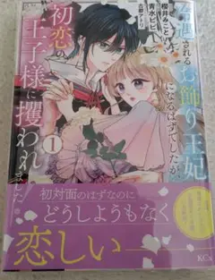 冷遇されるお飾り王妃になるはずでしたが、初恋の王子様に攫われました
