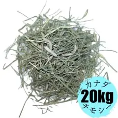 Item thumbnail for item 83acc534-0e61-4e63-aa90-98343d7c801e