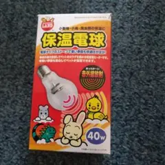 Item thumbnail for item c99afdc6-06c6-4d05-8ade-2a875f2ca4bb