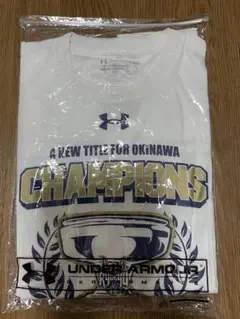 Item thumbnail for item bfa65eb1-7476-4e10-812a-b1e3c6fed5c4