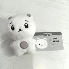 NMIXX ヘウォン マスター ドール ぬいぐるみ
