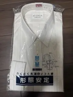 Item thumbnail for item 42fd99fb-7cde-4a8a-8d9a-ee85d8344331