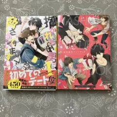 抱かれたい男1位に脅されています。9巻　桜日梯子ファンブック