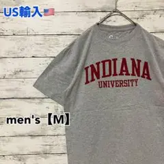●T456【US輸入】カレッジロゴ Tシャツ グレー系 men's【M】