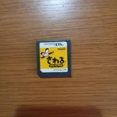 さわるメイドインワリオ ニンテンドーDS