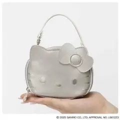 概要：HELLO KITTY × BRILMY ミニポーチ