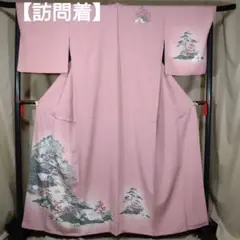 0306 着物 袷 訪問着 銀彩