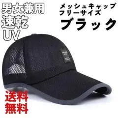 Item thumbnail for item 22f1d146-4183-4580-a07b-8f628eb92565