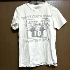 2025年最新】OVER THE STRIPES レディース 半袖(Tシャツ) T