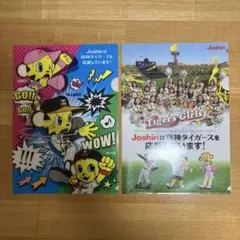 阪神タイガース　クリアファイル　2枚 トラッキー　タイガースガール　他