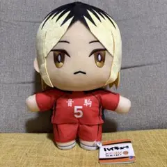 ハイキュー!! みにコレ！ BIGぬいぐるみ 孤爪研磨