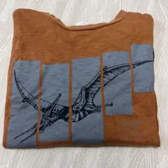 恐竜⭐︎長袖Tシャツ