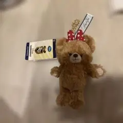 ディズニー　ユニベアシティ　タグ付き