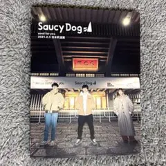 SaucyDog サウシードッグ ライブ DVD