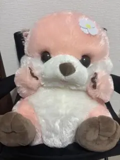 うきうきらっこべいびー　らいちちゃん