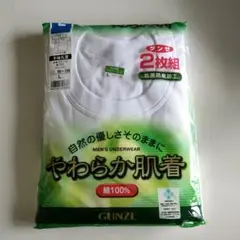 【新品】GUNZE★ 半袖丸首 TシャツＬ 2枚組 綿100%