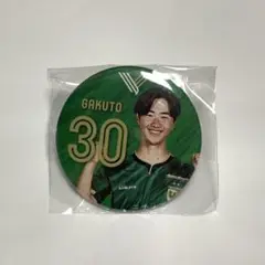 ヴェルディ 川村楽人 缶バッジ ガチャガチャ