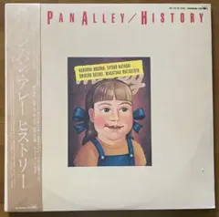 ティン・パン・アレー　/ ヒストリー　オリジナル盤レコード美品　細野晴臣　2枚組 LP ティン・パン・アレー Tin Pan Alley / History / JP