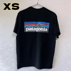 パタゴニア レスポンシビリティー バックロゴプリント 半袖 Tシャツ