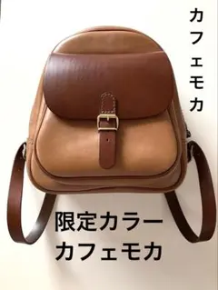 ヘルツ【限定カフェモカ】前ポケミニリュック