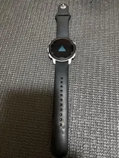 garmin245m