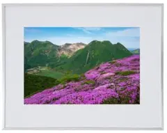Item thumbnail for item 34ae5f96-1cbd-4856-9f3d-88bc4f43bec5