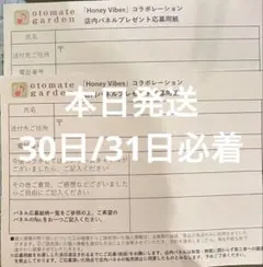オトメイト　honey vibes 応募券　オトガ　ハニヴ　2枚