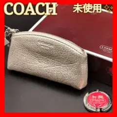 未使用✨COACH コーチレザー ポーチ シルバー バッグフック付き