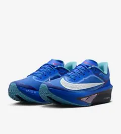 正規店購入品　ナイキ ズーム フライ 6 NIKE