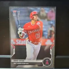 Item thumbnail for item 735387b6-94df-4438-8e09-c8435bb369e0