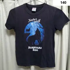 キッズTシャツ　サイズ140