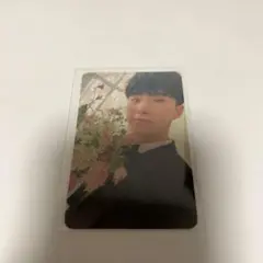 seventeen ホシ　FML carat盤