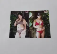 小向美奈子　週刊少年チャンピオン付録カード　２種
